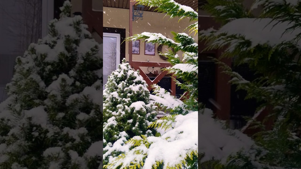 🌨️ Нас сносит снегом! Февраль в ударе ❄️🔥