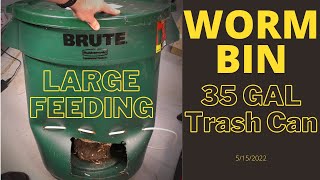 DIY Trash Can Worm Bin - Large Feeding 5/15/2022