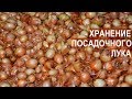 Хранение лука-шалот на посадку. Условия хранения посадочного лука. Фермер Роман Алыев.