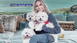 New Technology Allows Pet Owners To Clone Their Furry Friends