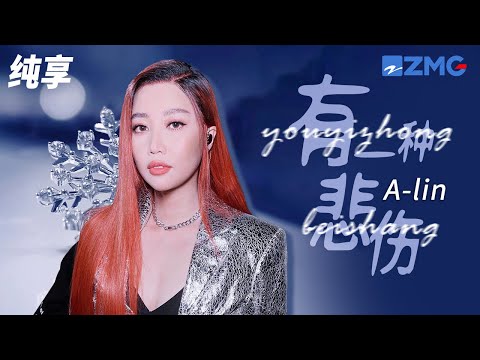 A-lin黄丽玲《有一种悲伤》有一种悲伤是你的名字停留在我的过往 陪伴我呼吸 决定我微笑模样 纯享 | ZJSTV #Music #live