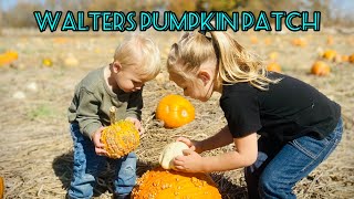 Walters Pumpkin Patch Outside El dorado, Kansas