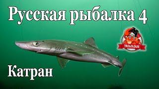 Русская рыбалка 4 Трофей Катран Розыгрыш Рыбалка на мертвую рыбу