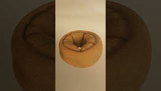 Satisfying Ring Transformation - 3D Animation | Cinema 4D & Redshift #shorts