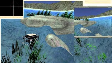 Co3-AUVs Underwater Robotics Simulator