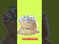 How I Automated My Meesho and Flipkart Store 800+ Orders Daily with AI Listing@SawrionEcommerce