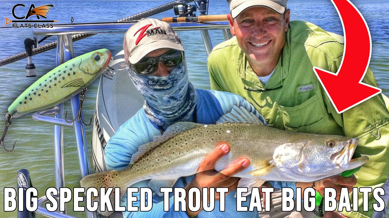 Big Speckled Trout Eat Big Baits