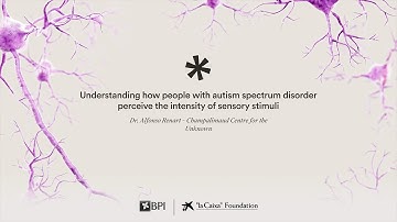 Understanding sensory perception in autism spectrum disorder. Alfonso Renart | CaixaResearch 2023
