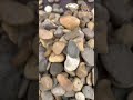 8 926 300-57-55, Галька Каспийская, Галька для ландшафта, Природный камень, Натуральный камень
