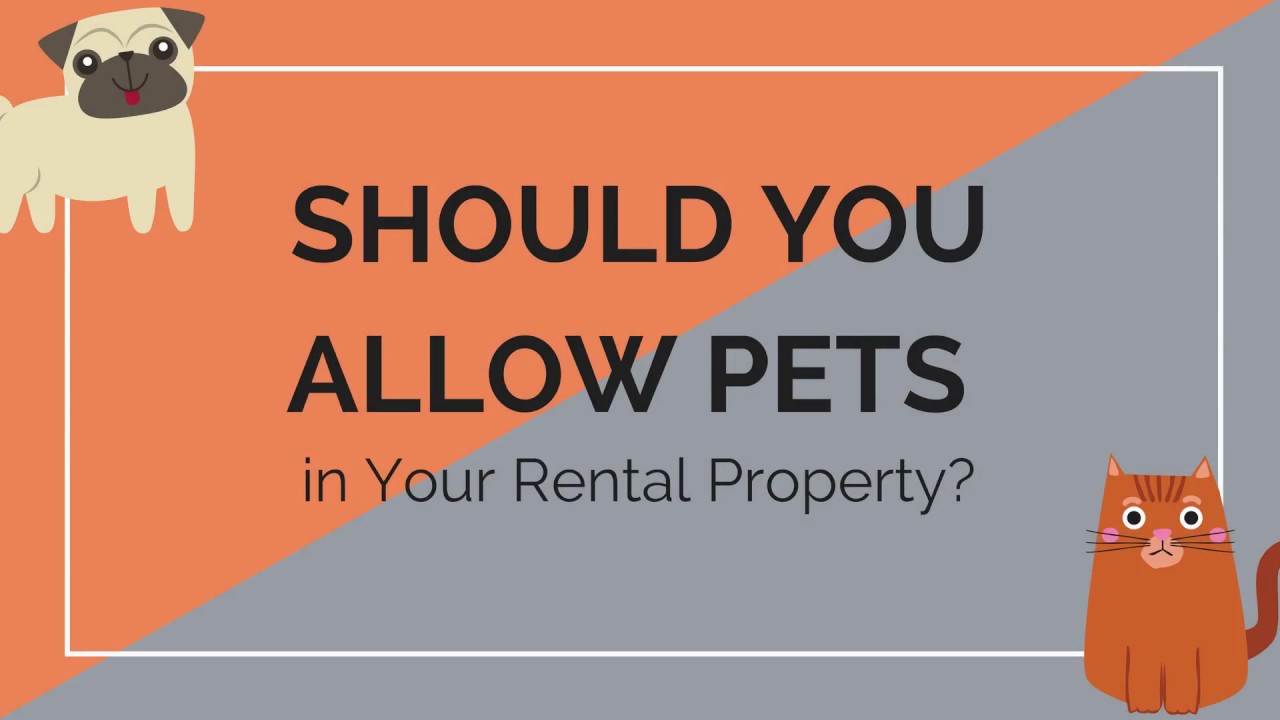 As an Owner, Should You Allow Pets in your Vancouver/Portland Area Rental Property? YouTube
