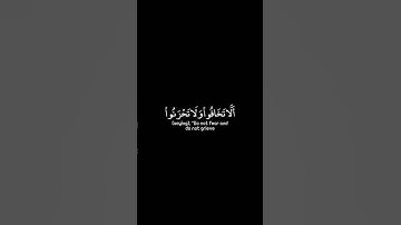 #قران_كريم #اسلام_صبحي #شاشه_سوداء #سورة_فصلت #استغفر_الله #اللهم_صل_وسلم_على_نبينا_محمد