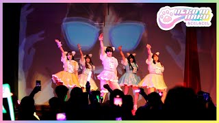 NEKO NI NARU - Local Idol Fest Spring  08.10 WASUTA わーすた / パンダドラゴンdance cover. (踊ってみた)