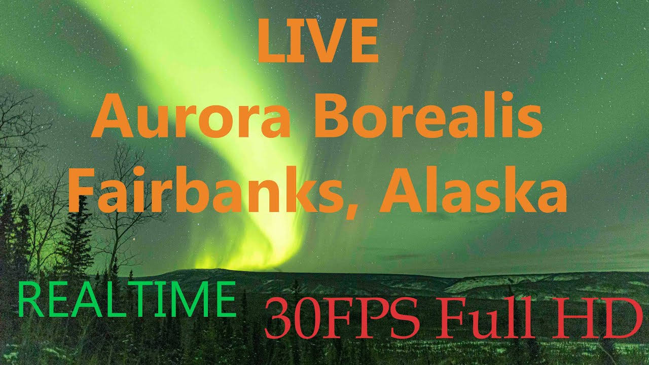 LIVE Northern Lights Fairbanks, Alaska
