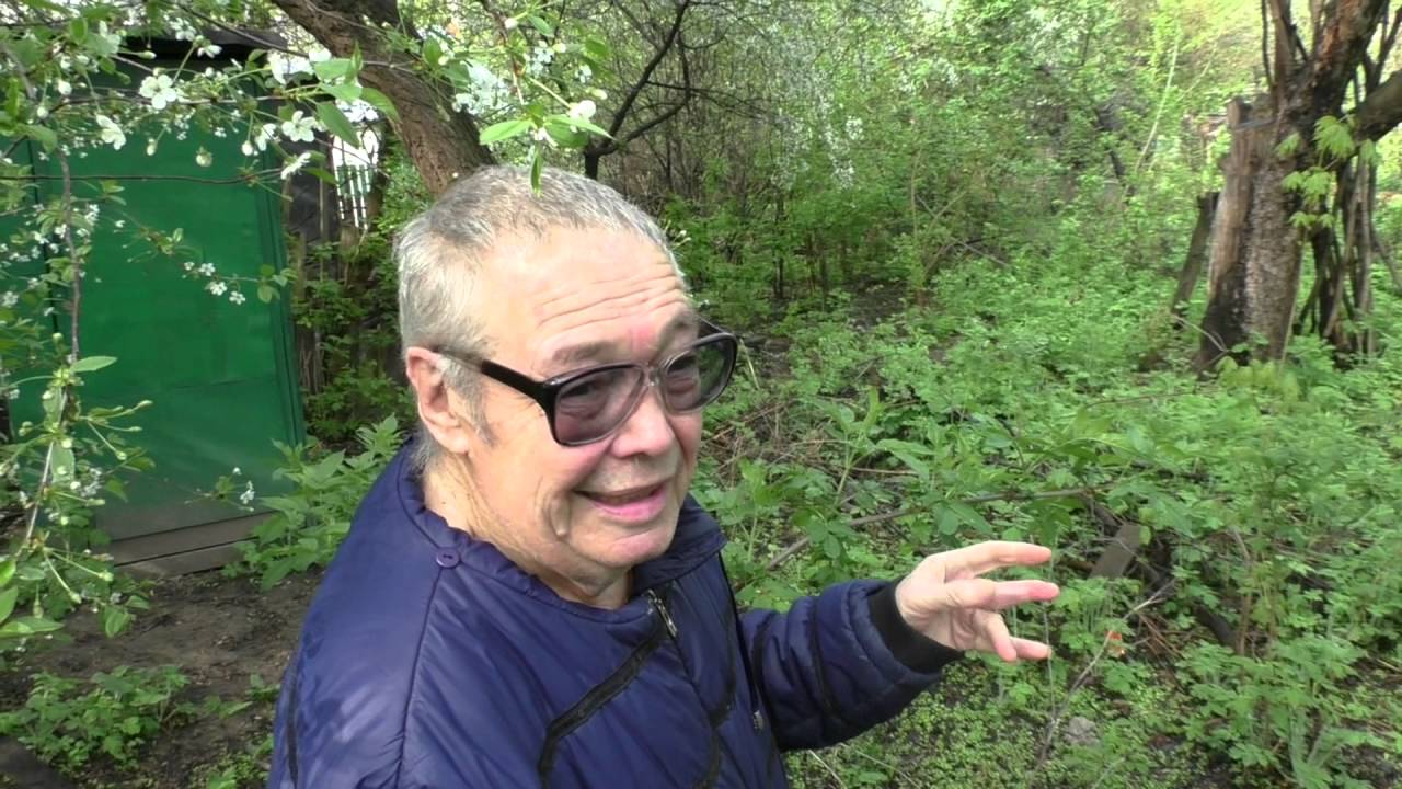 Полтава 21.4.2016 Нерадивые хозяева создают «уют» для бомжей