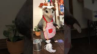 These Possums Are Very Kind.