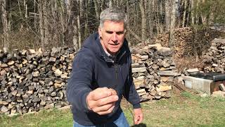 Planting Shallots In The Early Spring - Simply Garden