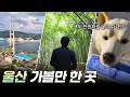 쇳물 도시 울산의 변신  [리부팅 지방시대] / 연합뉴스TV (YonhapnewsTV) Mp3 Song