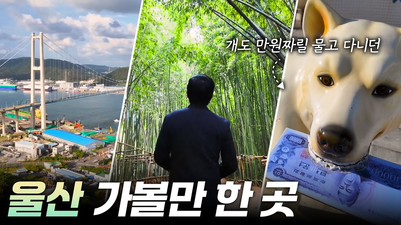 쇳물 도시 울산의 변신  [리부팅 지방시대] / 연합뉴스TV (YonhapnewsTV)