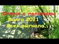 @69  Отдых с палатками/Волга 2021/ч3/Я всех выгнала