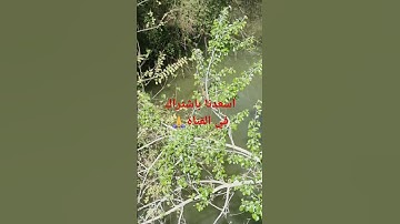 تلاوة عطرة عبد العزيز السحيم