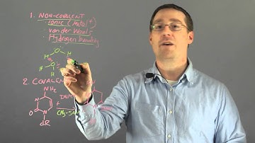What Is It That Holds the Enzyme Substrate Complex Together? : Photosynthesis & Other Reactions