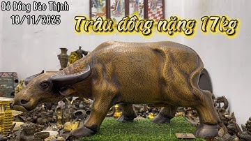 💥Đồ cổ - Đồ xưa - Đồ đồng xưa. 10/11/2025. #Đồđồngbảothịnh #đồcổ #đồxưa #đồđồngxưa #đồđồng #đồcổxưa 