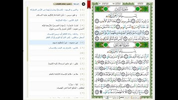 Surat At-Tin - 95 -القرآن الكريم بصوت خليفة الطنيجي - سورة التِّينِ