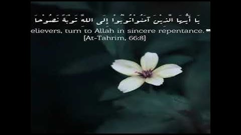 يَا أَيُّهَا الَّذِينَ آمَنُوا تُوبُوا إِلَى اللَّهِ تَوْبَةً نَصُوحا "أوآخر سورةالتحريم بصوت عذب