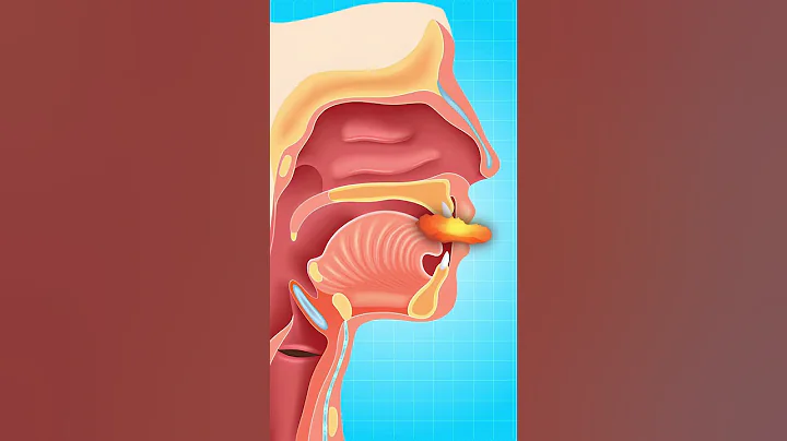 What Is The Purpose Of Your Uvula?