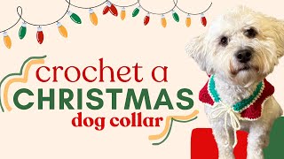 Make a Christmas dog collar! (crochet tutorial)
