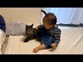 突然赤ちゃんに絡まれて戸惑った猫がこうなりました