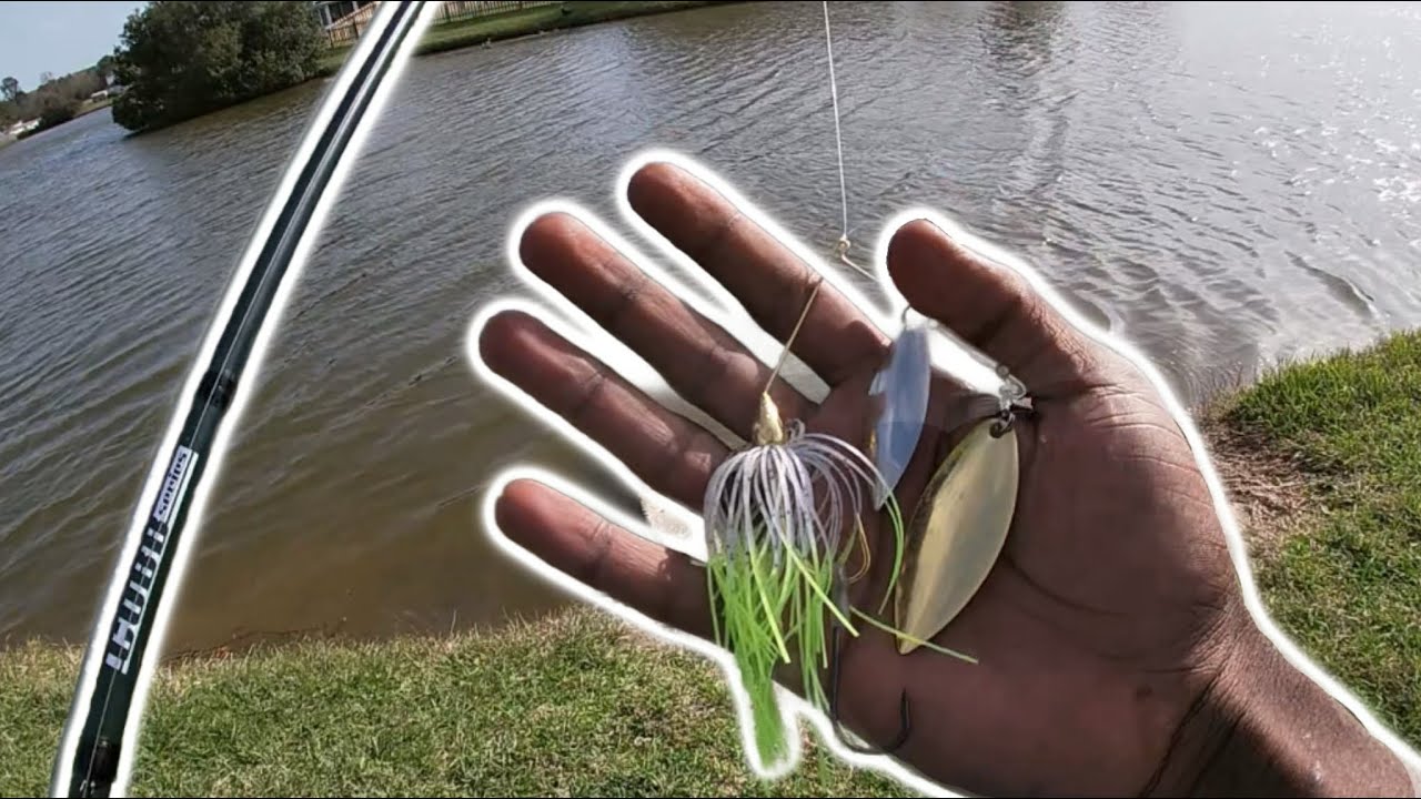 BASS FISHING WITH SPINNERBAIT (only)