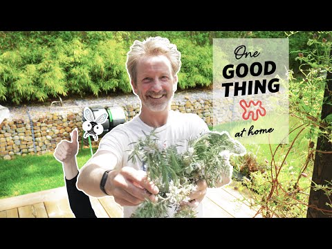 A Simple Solution to Keep Bugs Away | One Good Thing