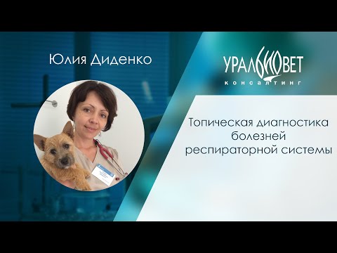 Топическая диагностика болезней респираторной системы. Лектор Юлия Диденко. #убвк_терапия