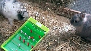 Download Lagu Two Giants | A Short Film by Carsten Knoop MP3