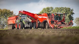 GRIMME VENTOR 4150 & HT 400 | Self-Propelled Potato Harvester with Haulm Topper