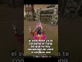 ¡Items Esenciales Para Empezar! Guía de Tienda