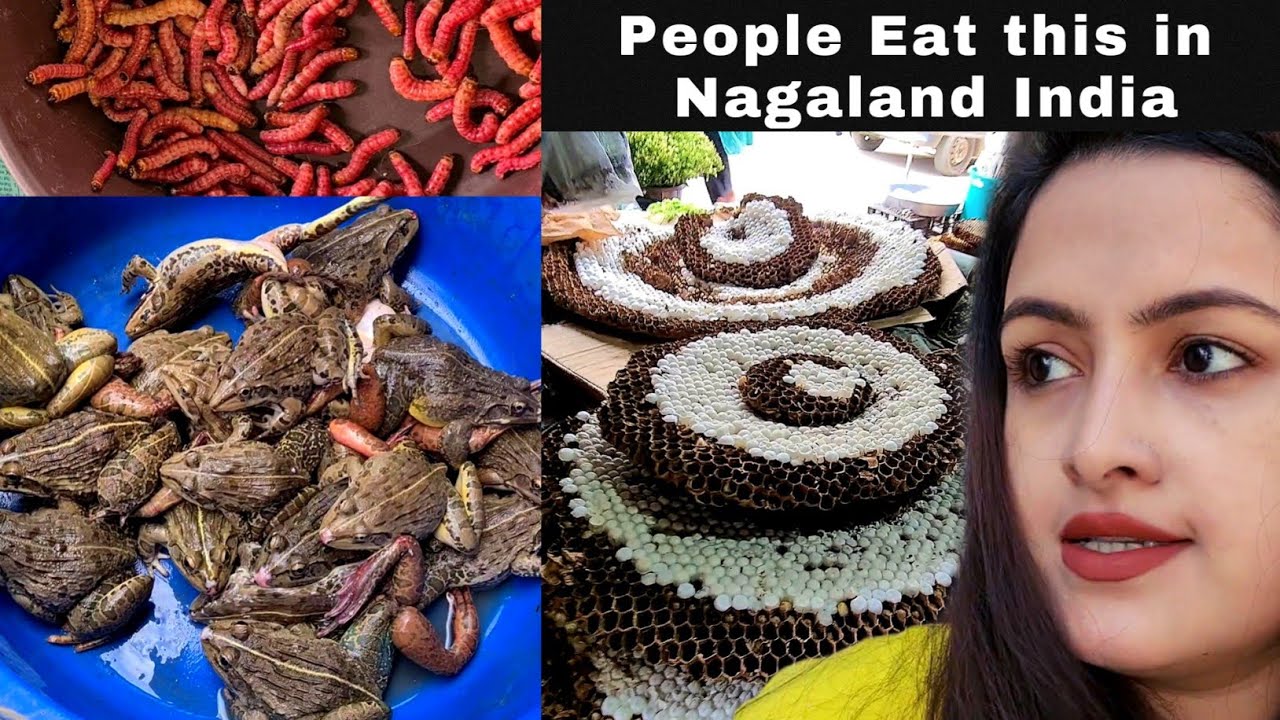 People EAT This In NAGALAND Nagaland Local Market Mao Market people-eat-this-in-nagaland-nagaland-local-market-mao-market