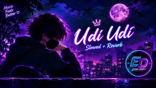 💜 Udi Udi 🌙 | Slowed + Reverb | Lofi Vibes 🎧✨ | Echo Drift