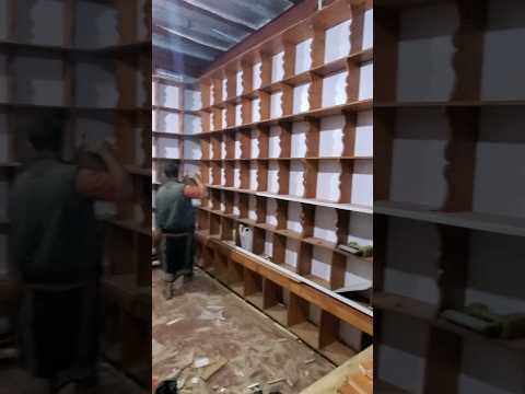 ديكور بقالة