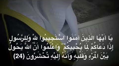 نبيل الصالح / مقتطفات من القران الكريم      '