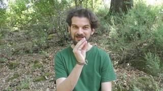Percezioni extra-sensoriali confuse, come fare chiarezza? - Niccolò Angeli