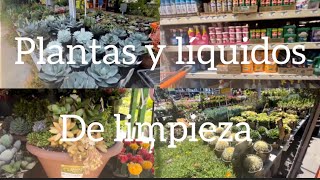 Que Plantas hay en Home Depot # vlog comprando liquidos de limpieza