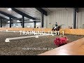 USDF Training Level Test 1 With Judges Scores & Comments