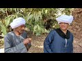 الحاج الضوى بنته أطلقت واخد الوزه الحاج الضوى بنته أطلقت واخد الوزه
