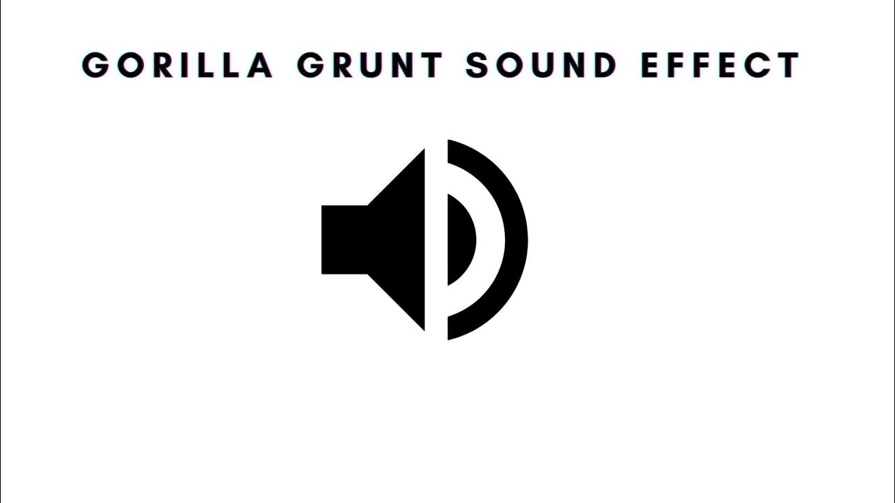 gorilla-grunt-sound-effect-youtube