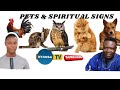 Pets  spiritual signs around us dr paa kwasi