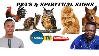 PETS \u0026 Spiritual Signs, Around Us: Dr. Paa Kwasi