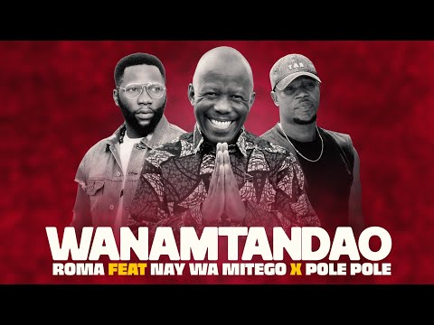 Roma Ft Nay Wa Mitego X Pole Pole Wanamtandao Official Music Video 
