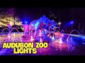 Audubon Zoo Lights | New Orleans Holiday Lights &amp; 610 Stompers Performance